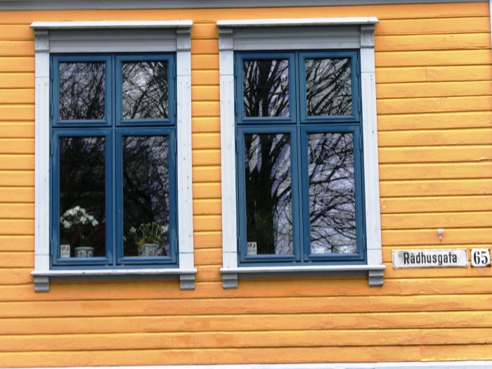 Home Exterior Windows