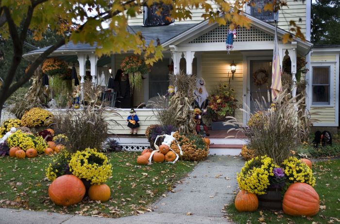 Select Outdoor Halloween Decorations