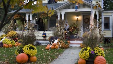 Outdoor Halloween Decorations