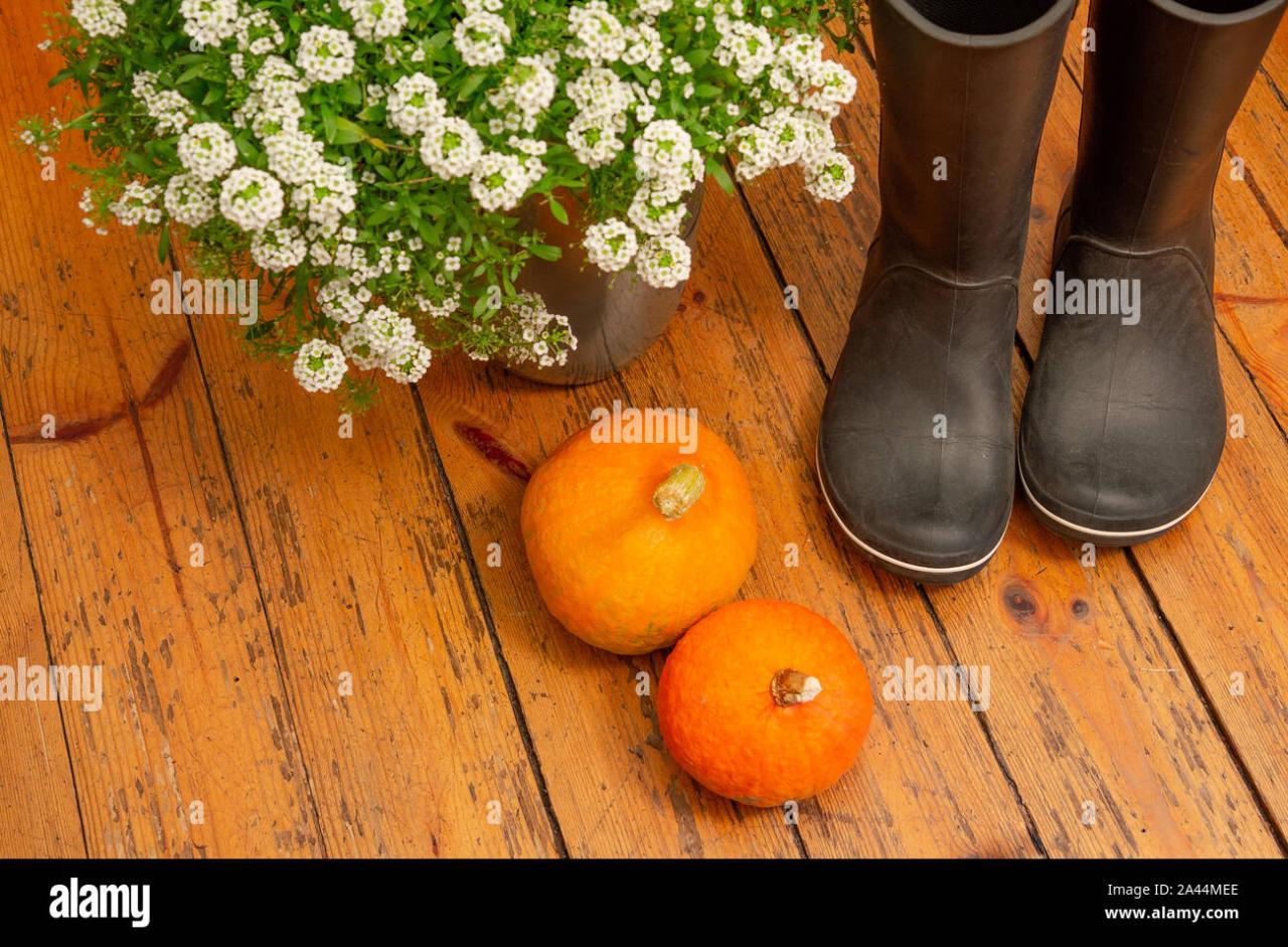 Finding the perfect Autumn House in the countryside